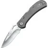 Buck Knives Buck 722GYS1 SpitFire Lockback Knife