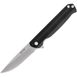 Buck Knives Buck 251BKS Langford Linerlock Knife