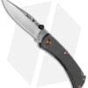 Buck Knives Buck 110 Titanium Slim Pro TRX Lockback Knife Ti (3.75" Satin) 0110GYSLE1