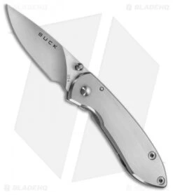 Buck Knives Buck Colleague Frame Lock Knife (2" Satin) 0325SSS