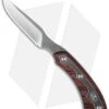 Buck Knives Buck 543 Open Season Caper Fixed Blade Knife Dymondwood (3.5" Satin) 0543RWS